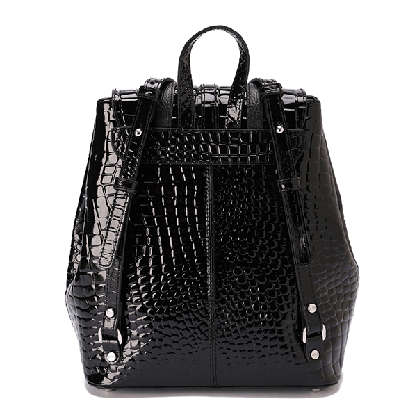 #color_Shiny Black