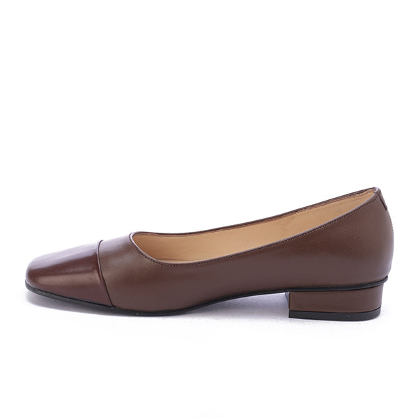 #color_Shiny Brown