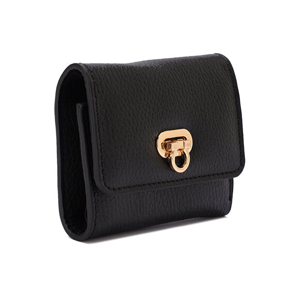 Golden Clasp Wallet