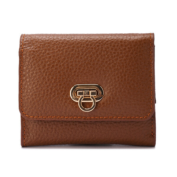 Golden Clasp Wallet