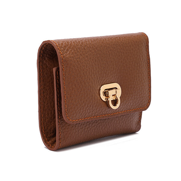 Golden Clasp Wallet