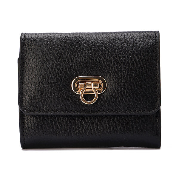 Golden Clasp Wallet