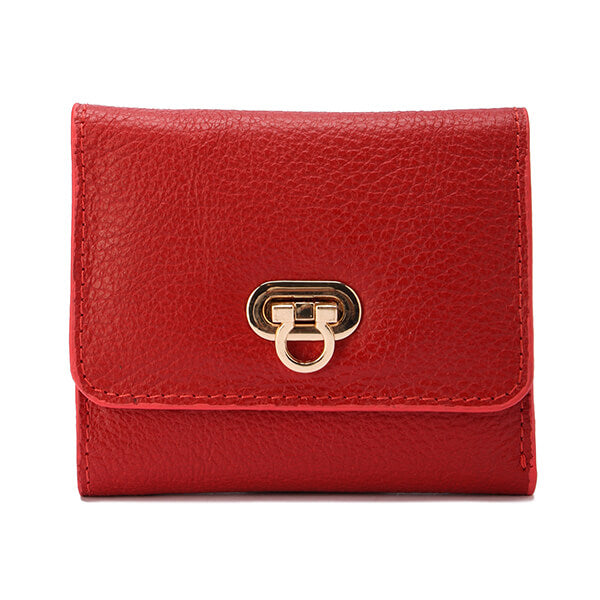 Golden Clasp Wallet