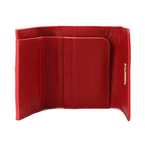 Golden Clasp Wallet