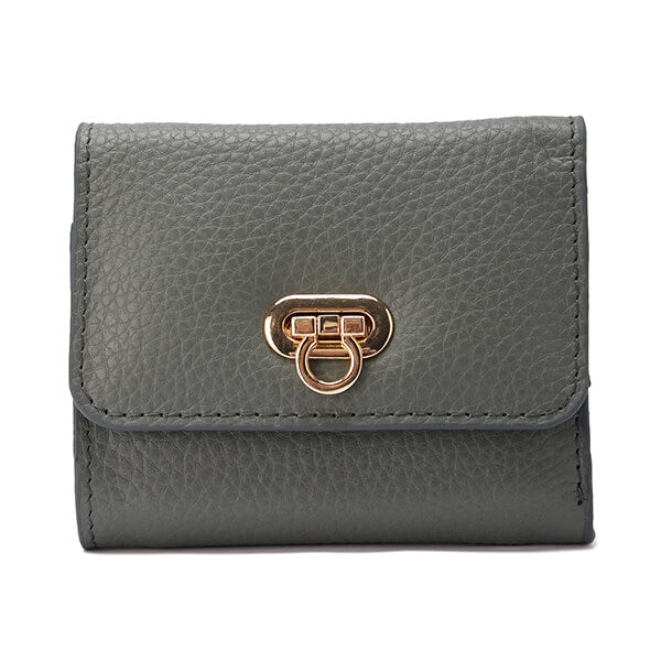 Golden Clasp Wallet