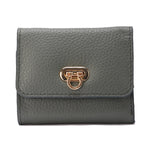 Golden Clasp Wallet