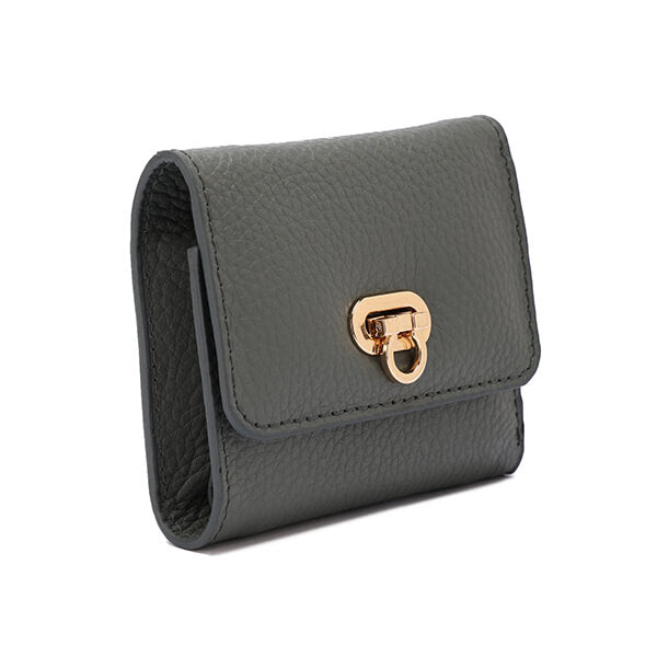Golden Clasp Wallet