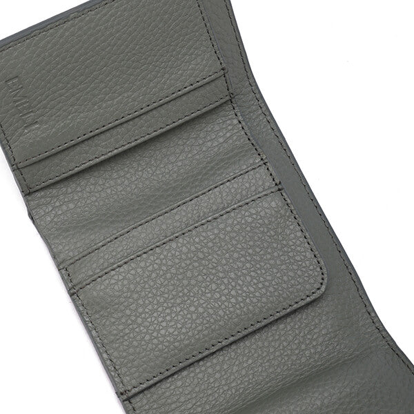 Golden Clasp Wallet