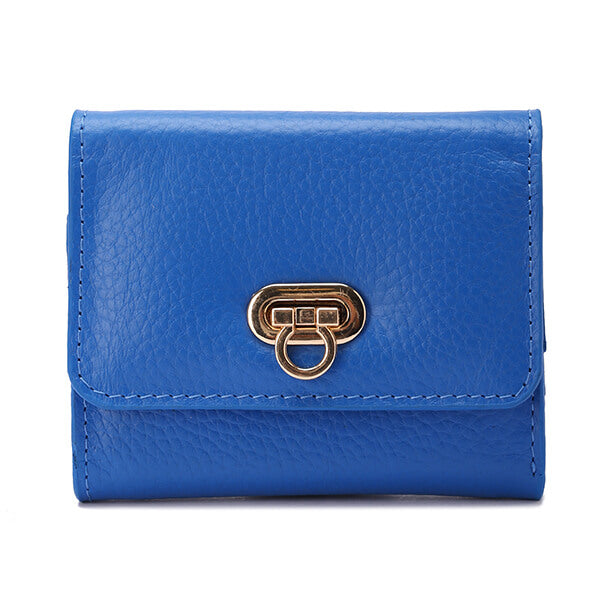 Golden Clasp Wallet
