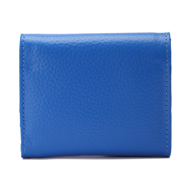Golden Clasp Wallet