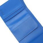Golden Clasp Wallet