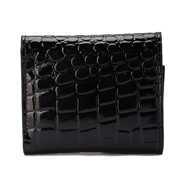 Golden Clasp Wallet
