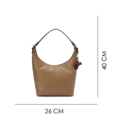 Width & Height